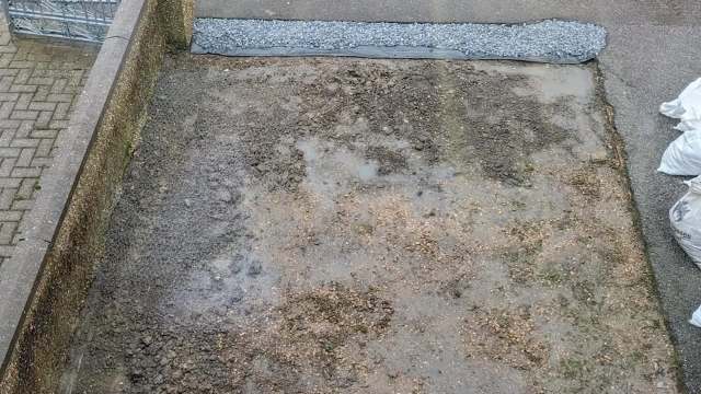 This Reddit user shared how they turned a city parking space into a stunning garden, using native plants and raising beds.