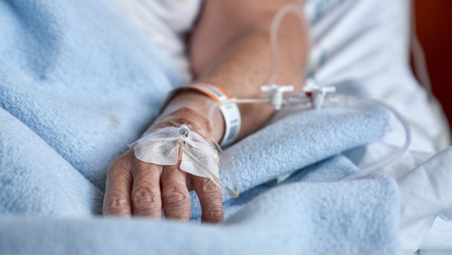 While West Nile virus is not uncommon in the U.S., severe cases are rare, making the story of Gus Cleary's sudden collapse after routine yard work and later positive test for the virus, both eye-opening and deeply personal.