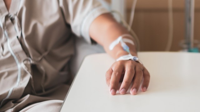 Researchers are learning more about how one mosquito species — Aedes aegypti — has transformed into a global health threat.