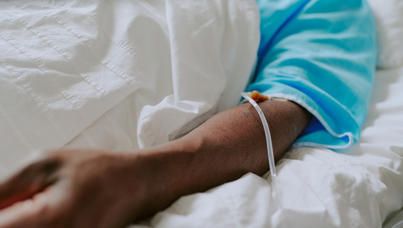 Researchers mapped when, where, and how different mosquito species have migrated across the globe via shipping, tourism, and trade.