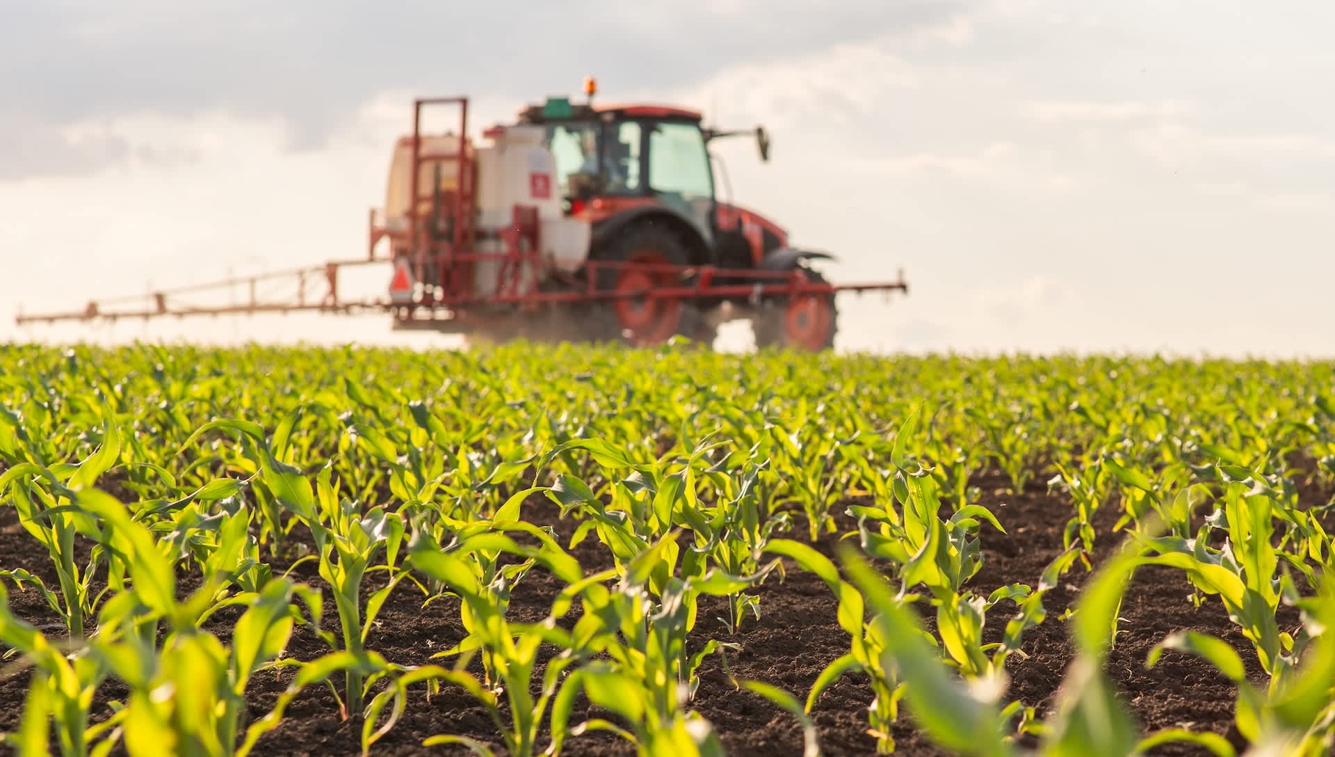 Researchers issue warning about hidden threat lurking in common produce items: 'It's impossible to monitor every single one of those'