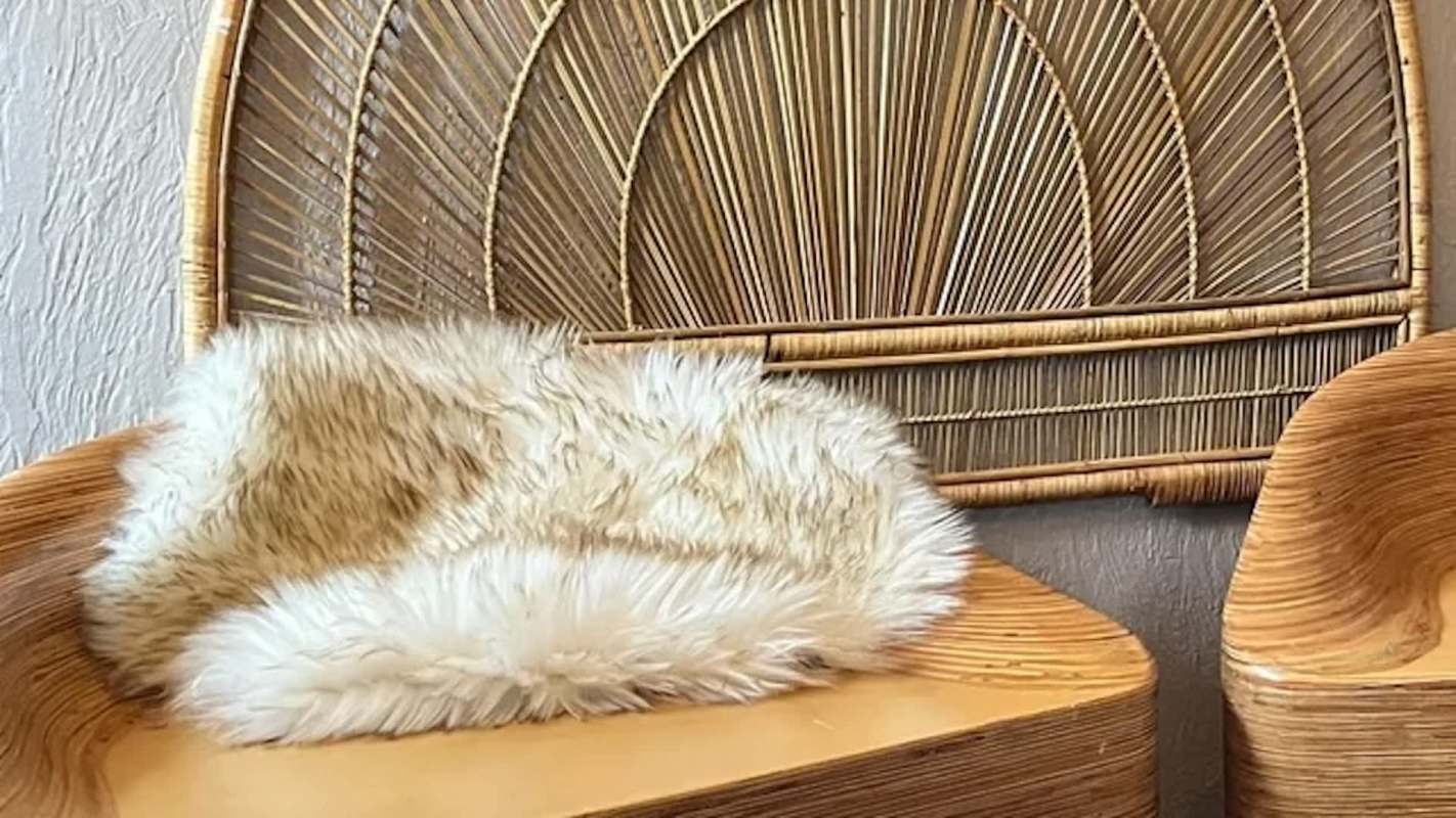 One savvy shopper scored $20 plywood chairs for $10 each, thanks to a moving sale and offer from a thrifting Reddit user.