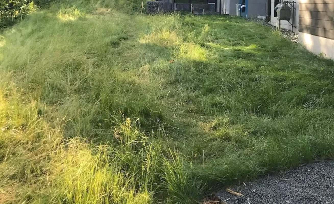 Plain and monotonous grass lawns are out, while diverse and pollinator-friendly gardens are in.