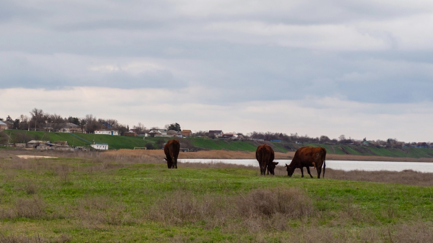 With a prolonged drought having affected areas across England, farmers may be turning to water-capture tools to keep their crops and livestock hydrated.