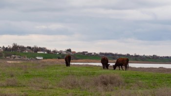 With a prolonged drought having affected areas across England, farmers may be turning to water-capture tools to keep their crops and livestock hydrated.
