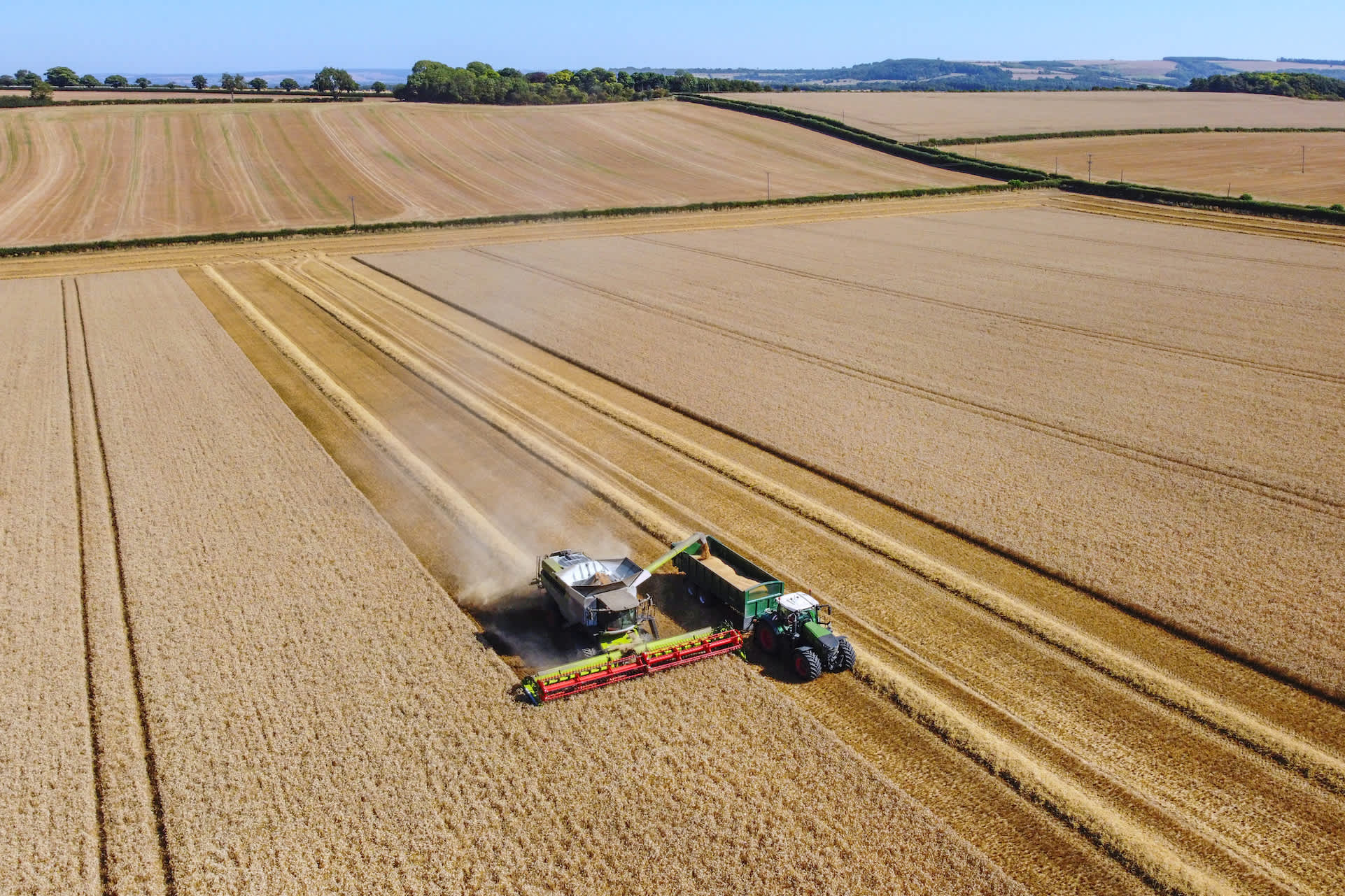 Farmers issue warning as troubling phenomenon threatens major crops: 'Even worse than was expected'