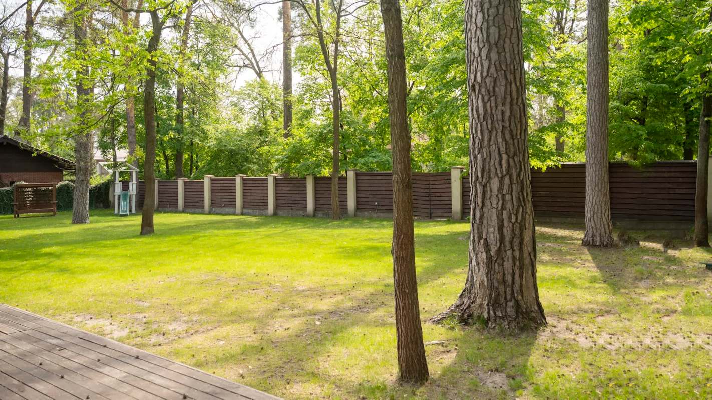 A wildlife expert went viral in October with heartwarming images captured by a trail camera in his backyard. Sharing the short video of the two porcupines, the clip showed off the true colors of a rather misunderstood rodent.