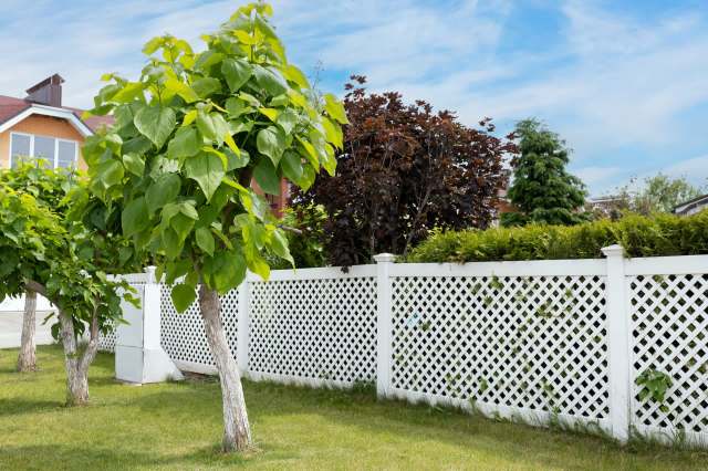 When a neighbor crosses the property line, issues like a property line dispute can cause unexpected stress.