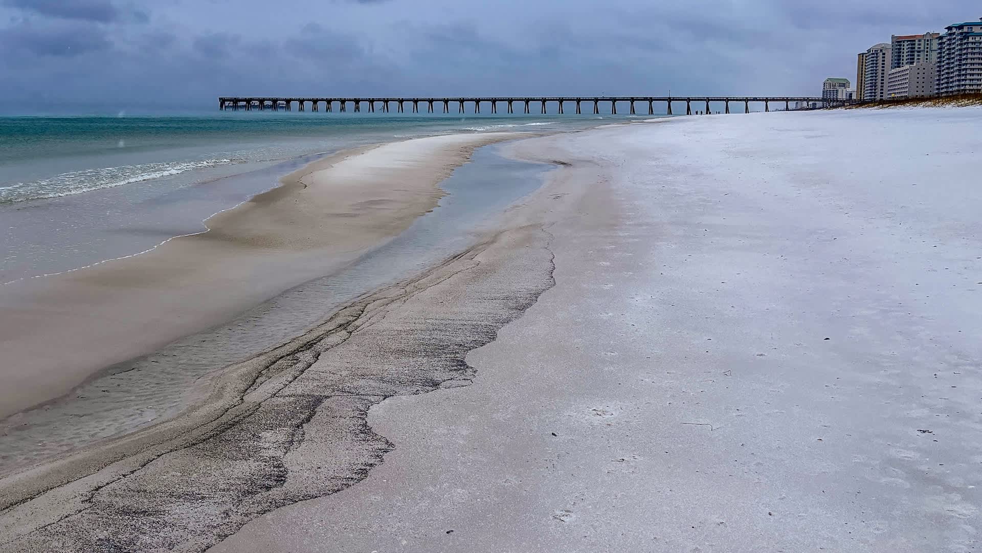 Residents scramble as major US city breaks 112-year-old record amid extreme conditions: 'Frozen iguanas falling from trees'