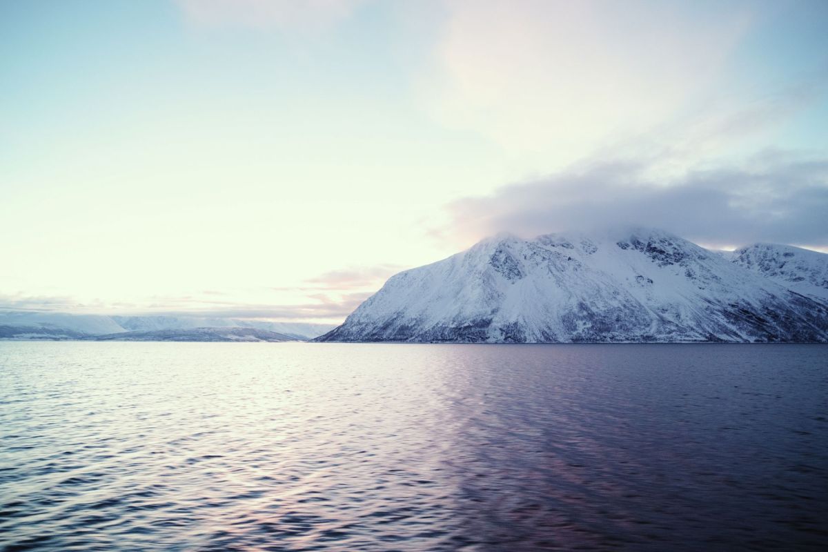 Melting ice in Norway's remote mountains revealed a 1,500-year-old reindeer trap that remained hidden for centuries.