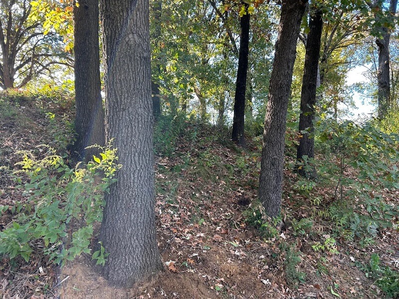 One Redditor shared the satisfying results of removing invasive species from a plot of land, thanking the community for their support.