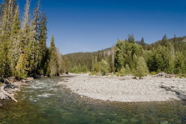 A hiker called out a litterbug for dumping plastic Starbucks' cups in the Okanogan-Wenatchee National Forest.
