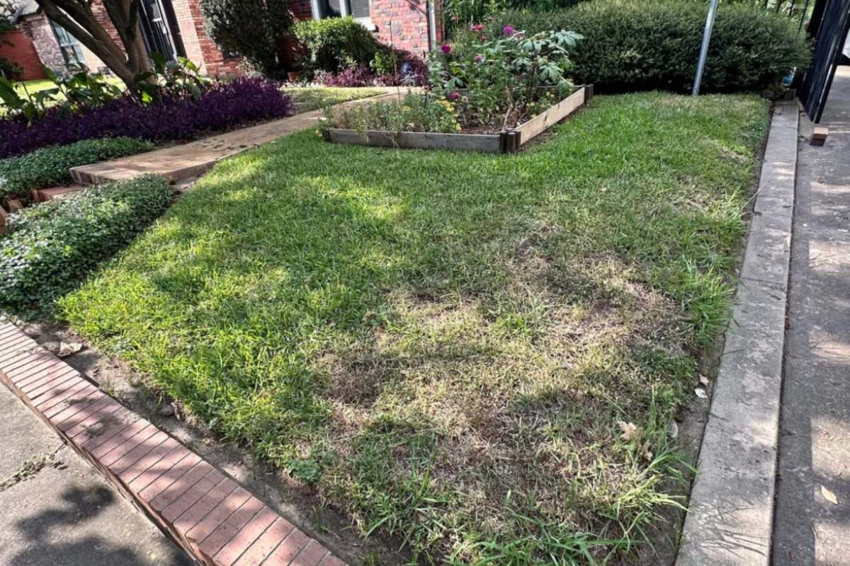 One person's front-lawn transformation has inspired the gardening community.