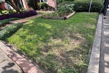 One person's front-lawn transformation has inspired the gardening community.