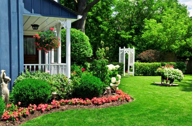 A photo of a robin relaxing in a homeowner's garden has reached hundreds of Redditors, leading to a discussion on rewilding.