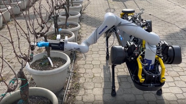 Italy-based tech experts have developed a one-armed, four-wheeled, self-driving robotic grape tender to help struggling vineyards.