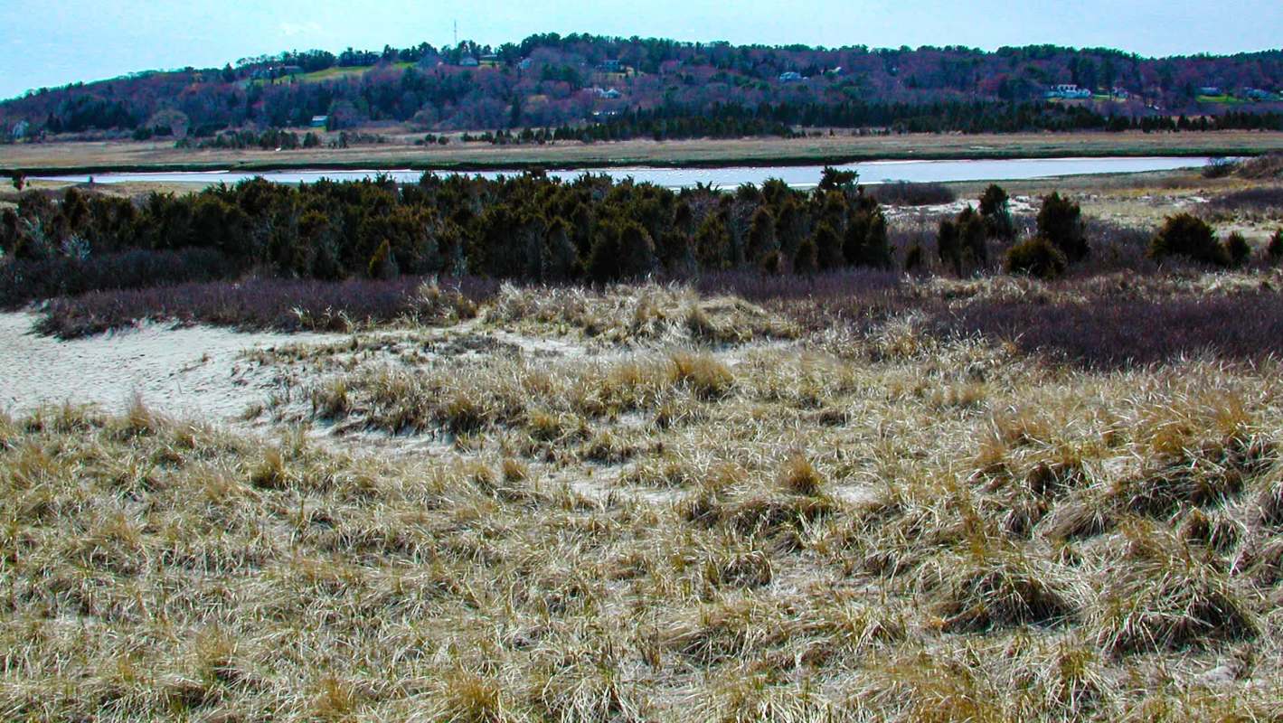 A roseate spoonbill showed up in Marshfield, Massachusetts, becoming just the second member of its species recorded in the Bay State.