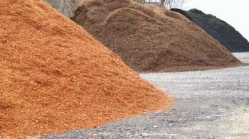 Rubber mulch is a controversial product in the gardening community. If you don't know any better, the synthetic mulch can seem like an easier option.