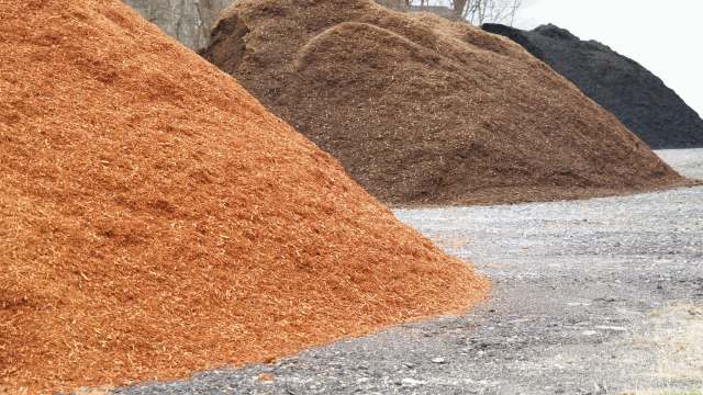 Rubber mulch is a controversial product in the gardening community. If you don't know any better, the synthetic mulch can seem like an easier option.