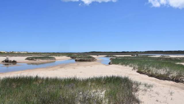 One young photographer is using cutting-edge technology to document disappearing salt marshes.
