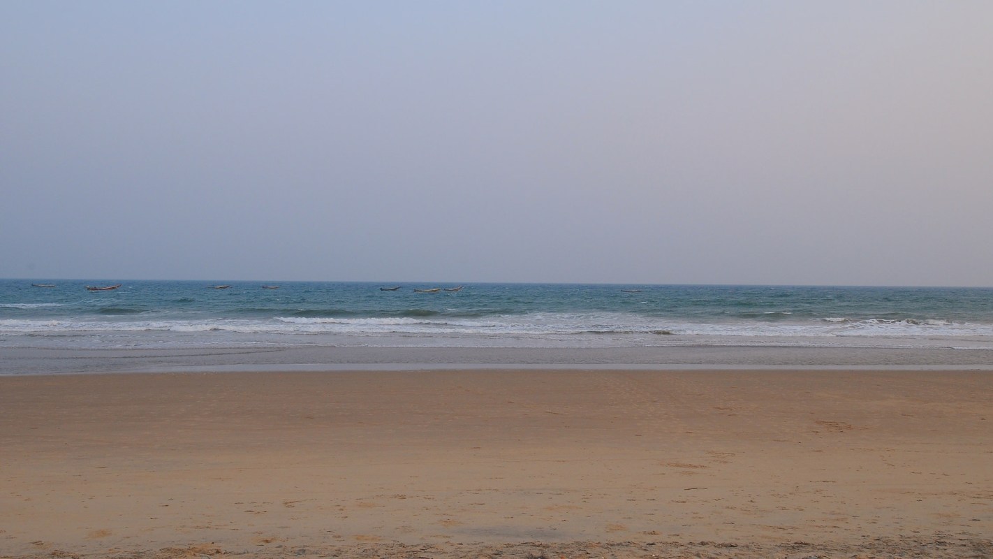 Rising beach temperatures are creating a dangerous imbalance in sea turtle populations worldwide.