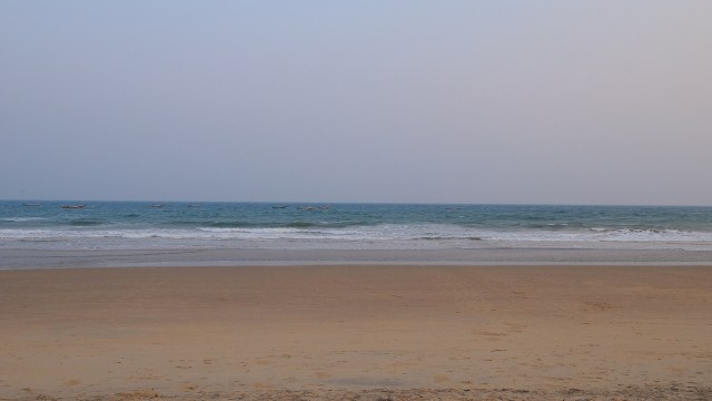 Rising beach temperatures are creating a dangerous imbalance in sea turtle populations worldwide.