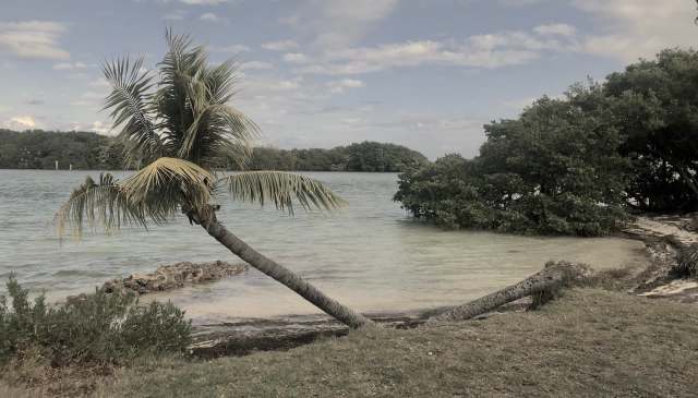 A Hialeah, Florida, man's snorkeling trip at Boca Chita Key turned into a fight for survival after a shark attack.