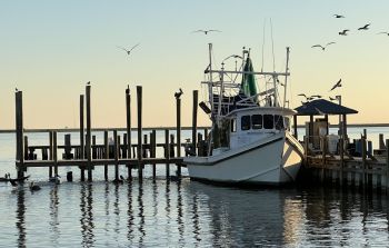 Frontline communities along the Texas Gulf Coast have lived with pollution for decades that has impacted fisheries, and the air people breathe. This history is why 77-year-old shrimper Diane Wilson, who has spent most of her life on the water, now works to hold petrochemical companies accountable.