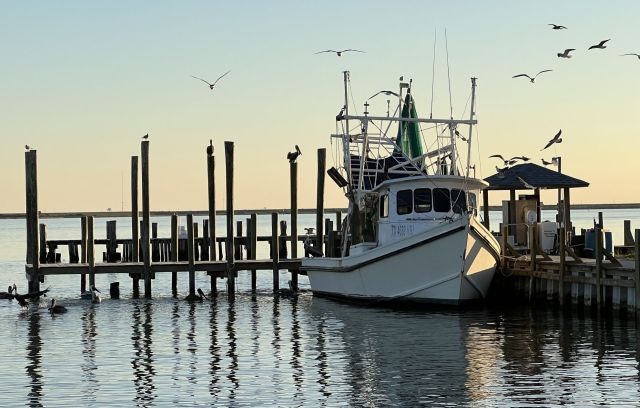 Frontline communities along the Texas Gulf Coast have lived with pollution for decades that has impacted fisheries, and the air people breathe. This history is why 77-year-old shrimper Diane Wilson, who has spent most of her life on the water, now works to hold petrochemical companies accountable.