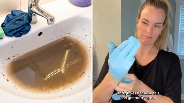 TikToker Janice took her followers along for the ride when doing some important but oft-neglected plumbing maintenance.