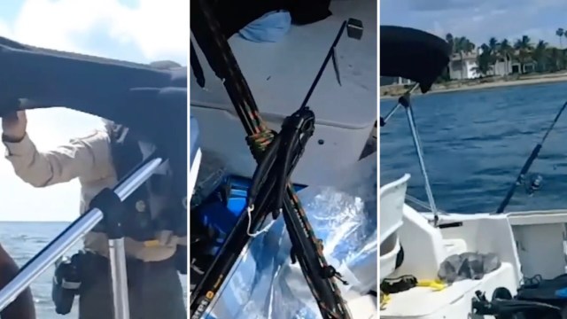 What started as a speeding incident on the water ended with arrests after authorities found speared snook on a boat in Florida.