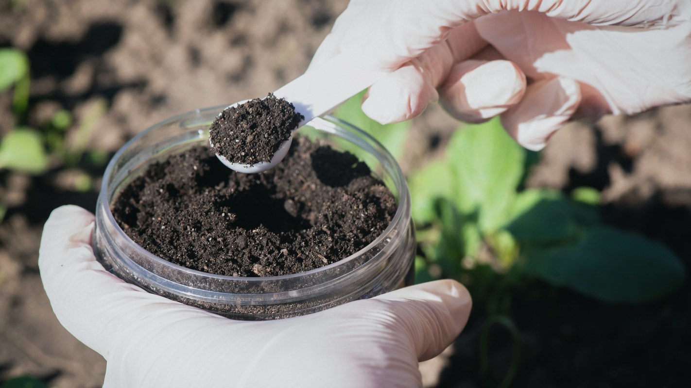 Researchers found that plants that thrive in sulfur-depleted soil benefit from the sacrificial actions of certain microbes.