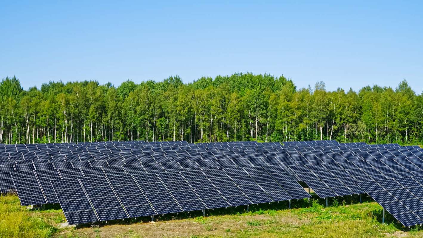 Researchers were testing whether food crops and a solar array could share the same land — and were shocked by the beneficial link they found.