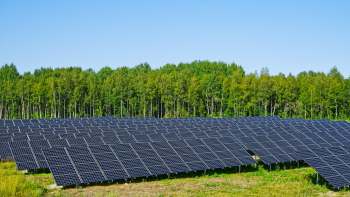 Researchers were testing whether food crops and a solar array could share the same land — and were shocked by the beneficial link they found.