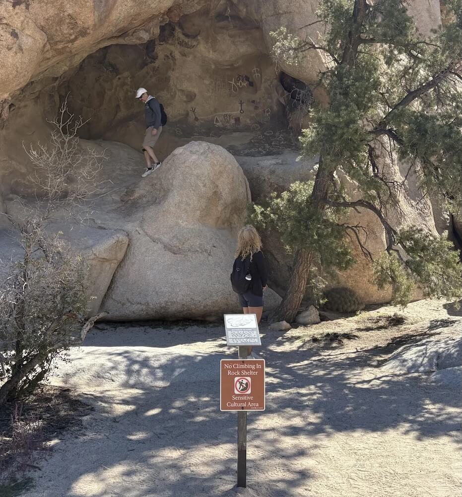 A Redditor shared a photo of a man circumventing a national park's sign with the caption, "Someone needs to come get their dad."