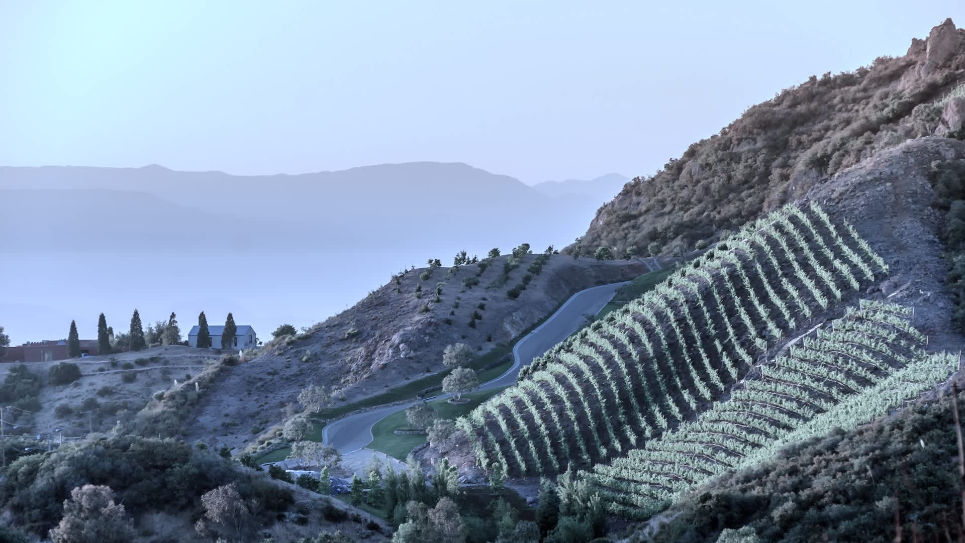 Experts issue warning on unexpected threat to US wine production: 'A lot of problems'