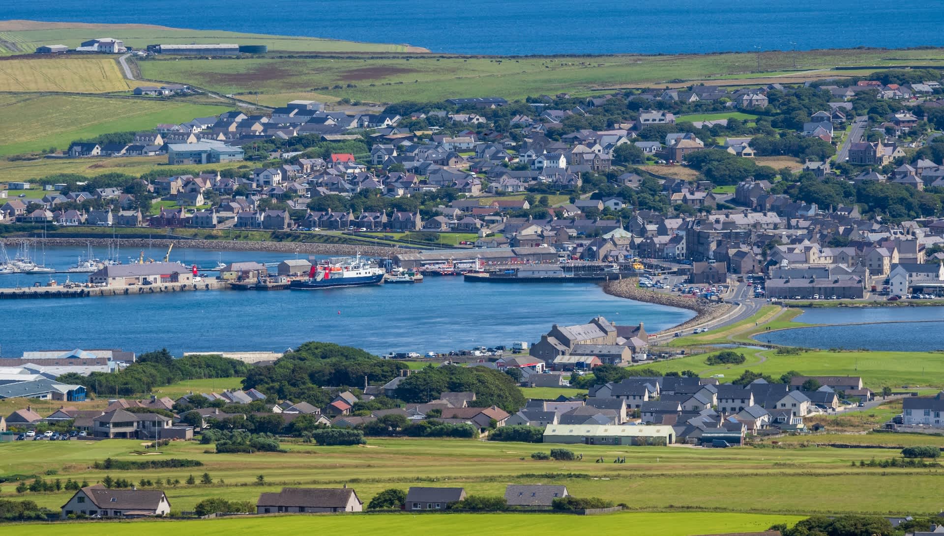 Researchers deploy AI tech to fight back against 'potent predator': 'There was a lot to lose'