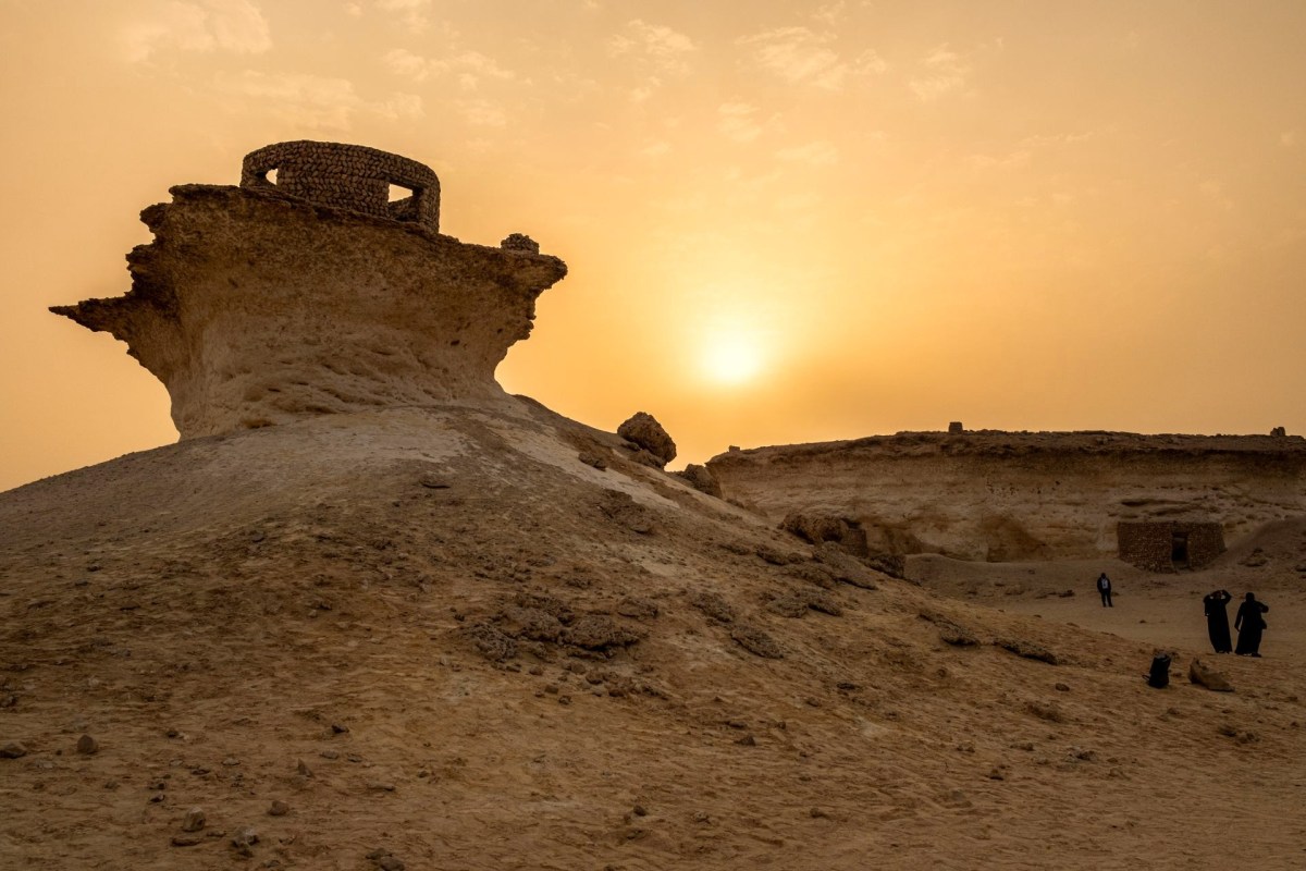 Over the last few decades, Qatar has made huge strides in conservation, allowing its wildlife to flourish.