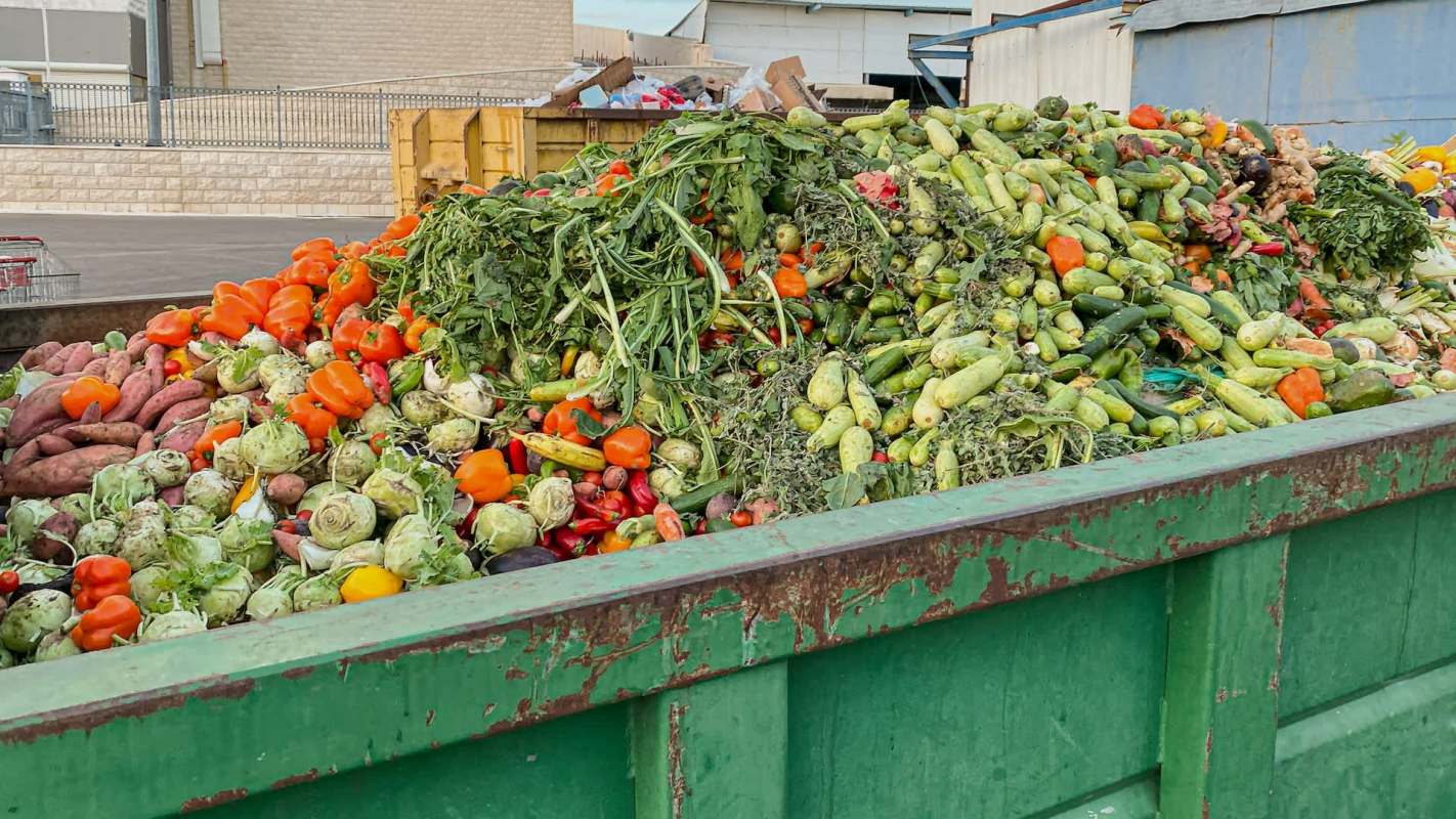 A team of researchers from Cornell led the modeling section of a significant global report on the link between sustainable food practices and emissions.