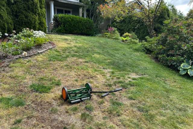 One Redditor shared dramatic before-and-after photos of their front lawn as they transitioned to sustainable landscaping.