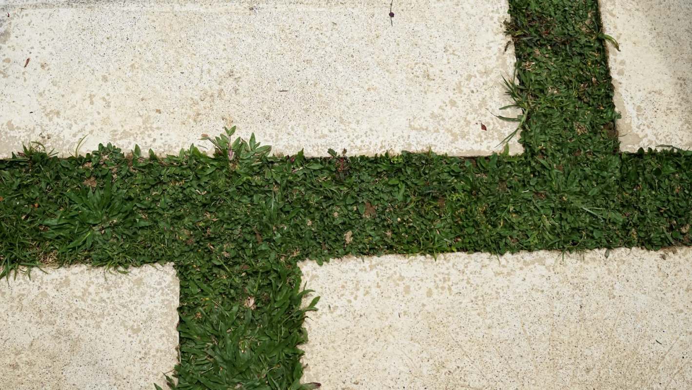 One new homeowner received a flurry of warnings after asking about the heat, drainage, and upkeep of artificial turf.