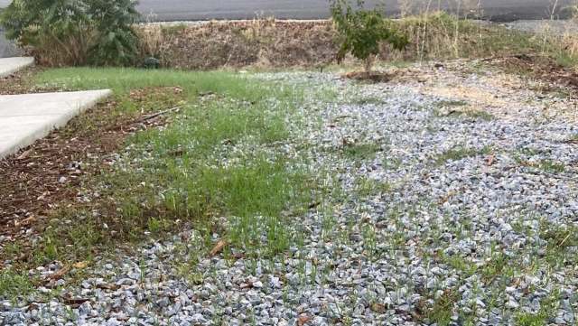 One Redditor is trying to eliminate a major homeowner's headache when it comes to maintaining a healthy yard: tarp and gravel, which ultimately do nothing to prevent grass and weeds from growing through.