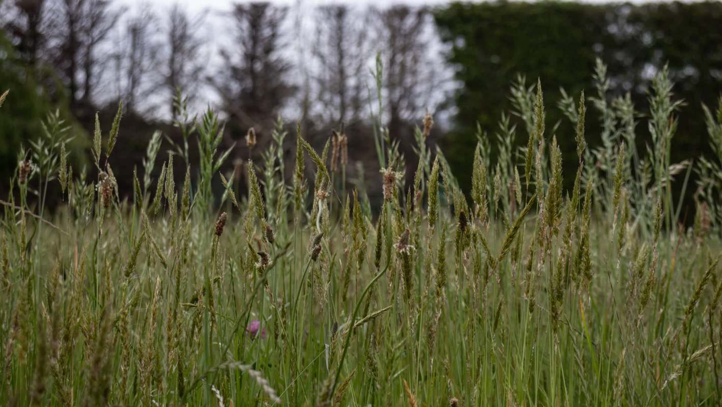 Tick numbers in St. Joseph County, Indiana, are increasing, putting residents at risk of dangerous diseases.