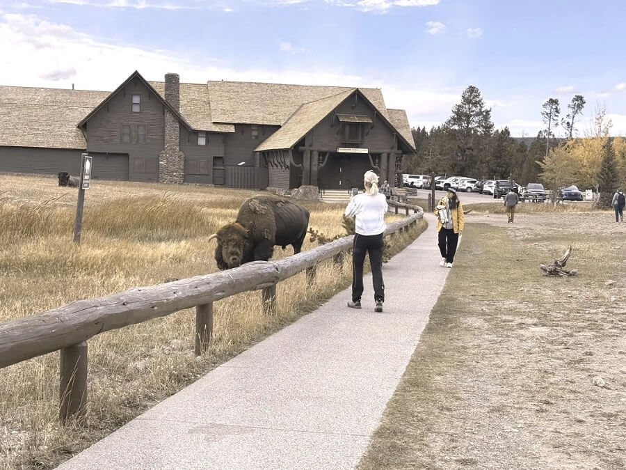 There's a popular word on the internet reserved for people who completely lose common sense while on vacation—particularly in National Parks—'Tourons'.