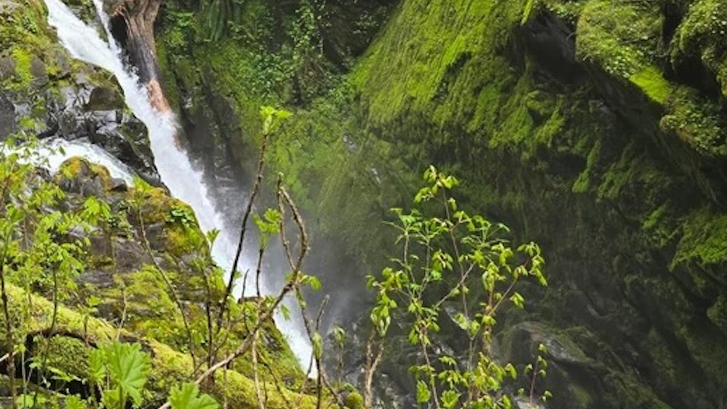 A viral Reddit post has reignited debate over reckless behavior in U.S. national parks, featuring Olympic National Park as an example.