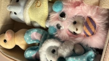 One Redditor's simple, cost-effective hack for sorting tiny toys uses an old, travel-size jewelry box.