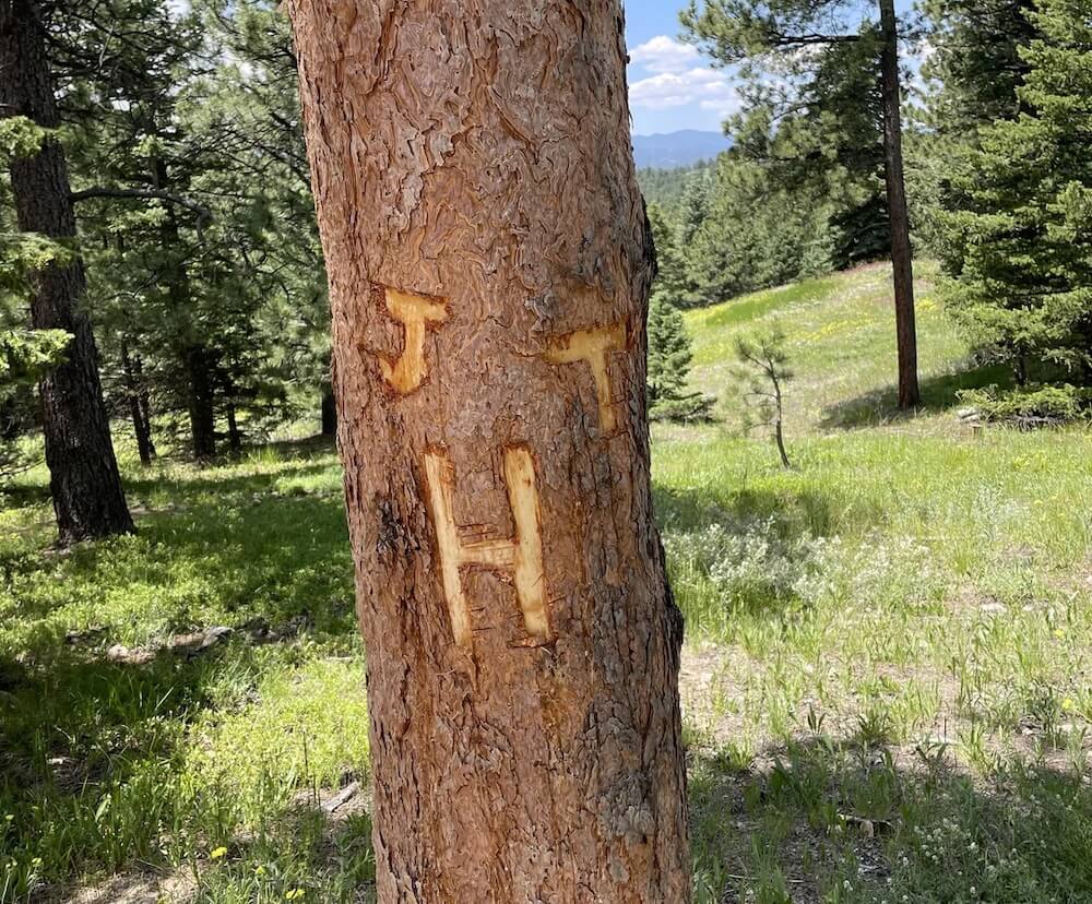 A hiker in Boulder, Colorado, shared their frustration over what they encountered on the trail: a tree with three letters carved into its bark.