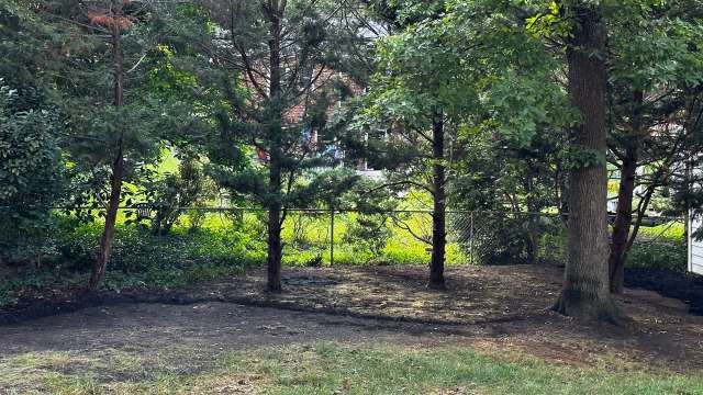 One frustrated Redditor shared the story of a neighbor removing trees from their property without permission.