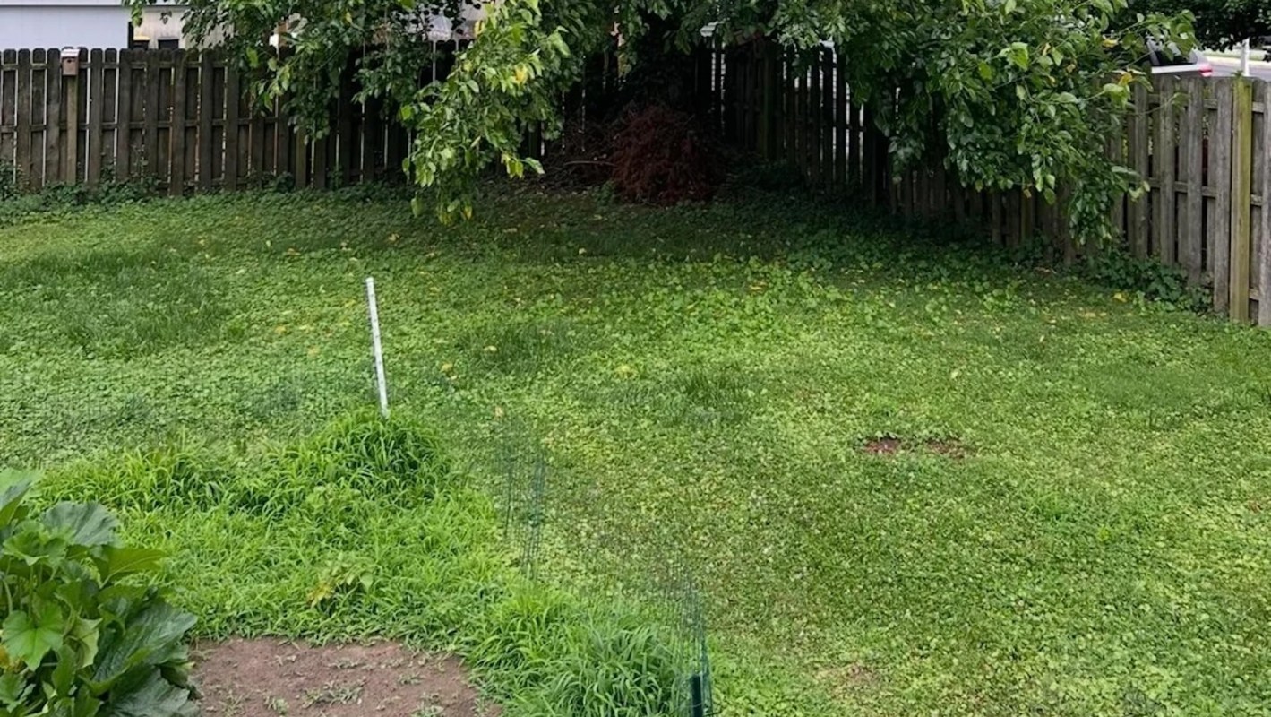 One Redditor posted their experience with an outrageous tree-trimming job — and the entire forum rallied to offer support.