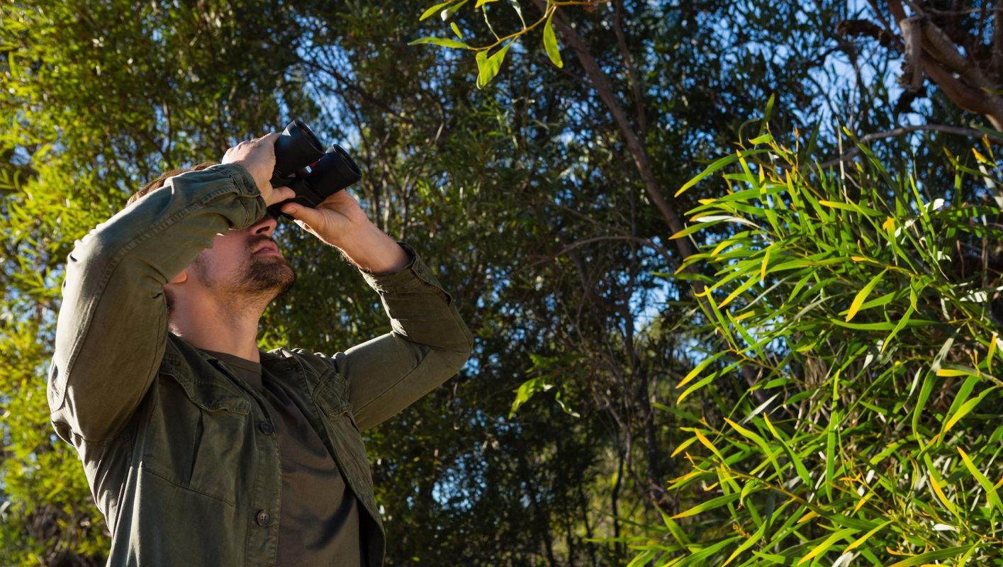The first recorded sighting of a common cuckoo in New York has created quite a stir in the birding community.